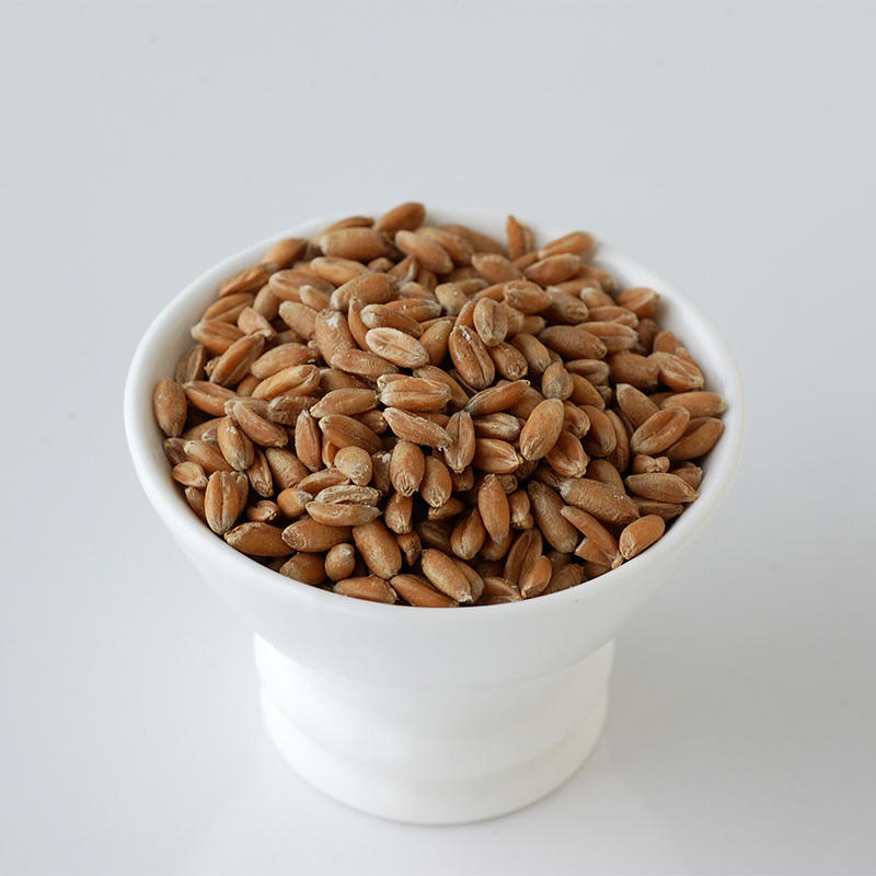 Isola FarroItalian Grain Grains Isola Imports, Inc.