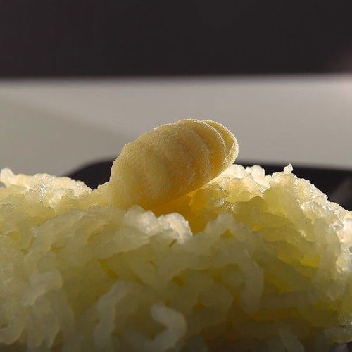 Isola Isola Lemon Baked Ricotta (3 Pack) Dairy Semi Soft Cheese